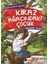 Kiraz Ağacındaki Çocuk-İbrahim Ünsal 1