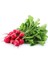 Turp Cherry Bella (Fındık Turp) Tohumu Paket 25 Gr. 1