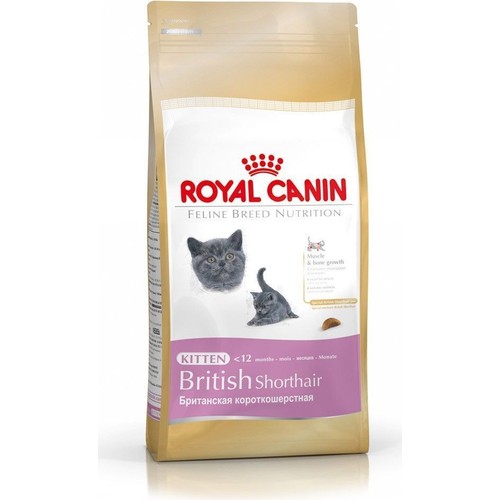 Royal Canin British Shorthair İçin Özel Yavru Kedi Maması 2 Fiyatı