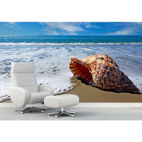 Büyük Deniz Kabuğu Duvar Sticker 145x145cm Fiyatı Büyük Deniz Kabuğu Duvar Sticker 145x145cm Fiyatı
