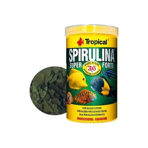 tropical super spirulina forte flake