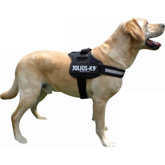 JuliusK9 Extra Sağlam Özel Köpek Göğüs Tasması (L) 6685 Cm Fiyatı