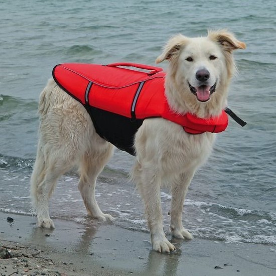 Trixie Fosforlu Köpek Can Yeleği (L) 5080 Cm 36 Kg Fiyatı
