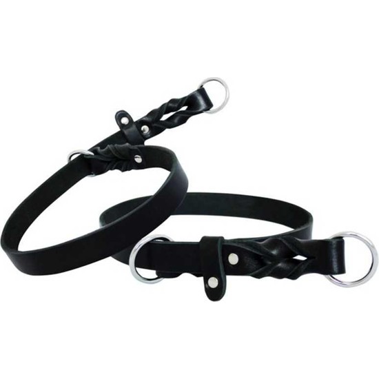 köpek eğitim tasması