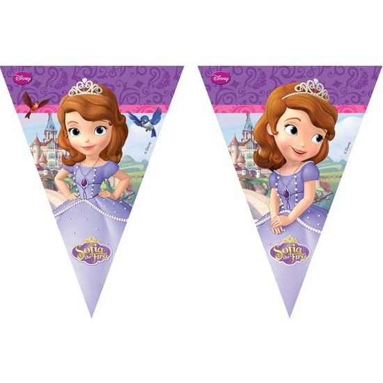 Disney Prenses Sofia Bayrak Set