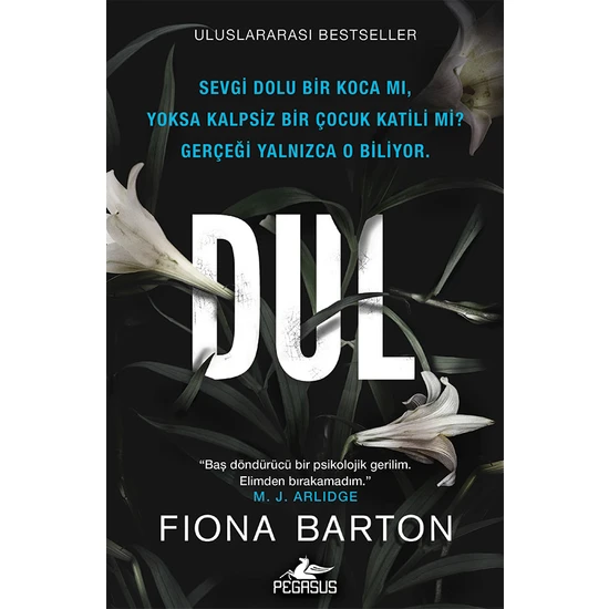 Dul - Fiona Barton