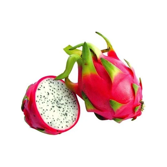 Plantistanbul Pitaya Fruit Ejder Meyvesi, Tek Loblu, Tüplü