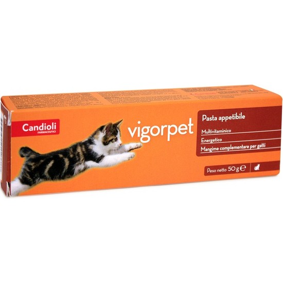 Candioli Vigorpet Pasta Fiyatı, Taksit Seçenekleri ile Satın Al