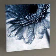 Tablo 360 Gerbera Flower Tablo 60X60