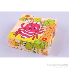 Learning Toys Wooden Puzzle Cubes