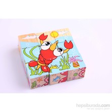 Nani Toys Wooden Puzzle Cubes