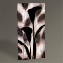 Tablo 360 Harmony Iı Tablo 120X60