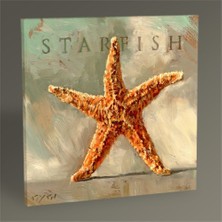 Tablo 360 Starfish Tablo 50X50