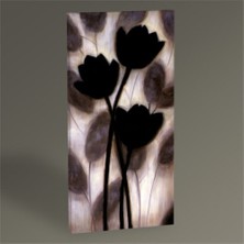 Tablo 360 Harmony Tablo 100X50