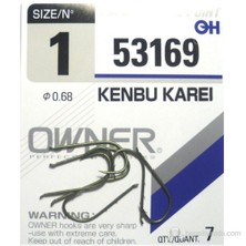 53169 -  4  Owner İğne