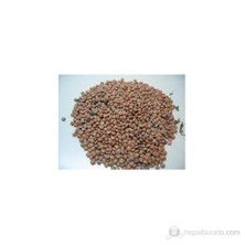 Malatya Yöresel Siyah Mercimek (1 Kg)