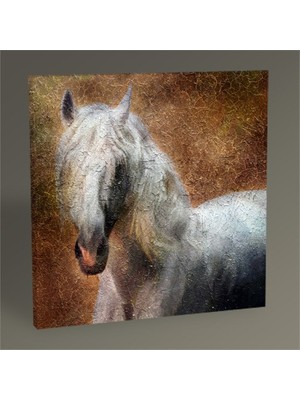 Tablo 360 Beyaz At Tablo 30X30