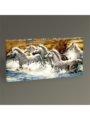 Tablo 360 Beyaz Atlar Tablo 60X30
