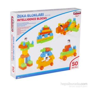 Zeka Blokları Kutu 50 Parça