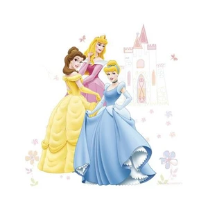 Princess  Duvar Çıkartması(Maxı)