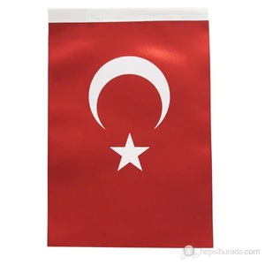 Bayrak 20X30 B-001