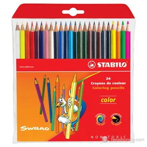 Color Standart Kuru Boya 24 Renk Askılı Paket