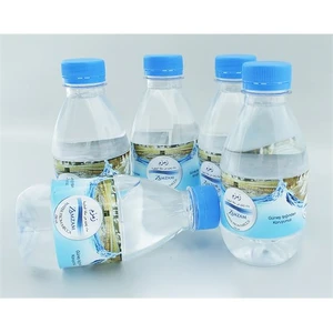 Hyd Zemzem Suyu 250 Ml
