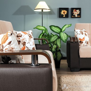 Truva Home