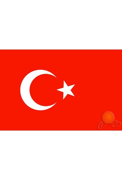 Vatan Türk Bayrağı 30 x 45 cm