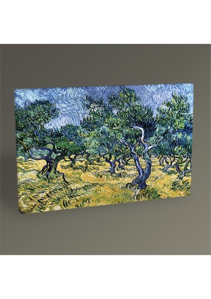 Vincent Van Gogh-Olive Grove Tablo 60X40