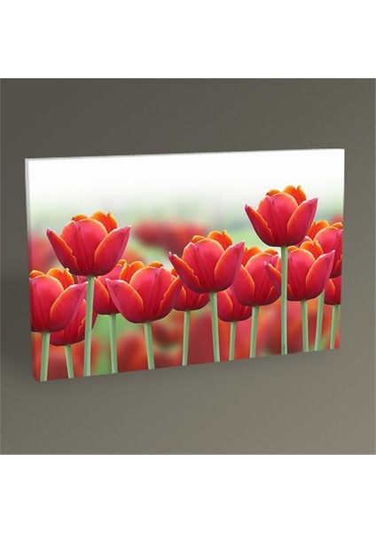 Kırmızı Laleler Tablo 45X30