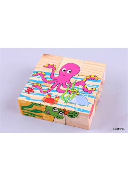 Wooden Toys Wooden Puzzle Cubes