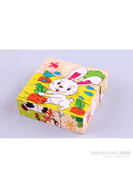 Learning Toys Wooden Puzzle Cubes