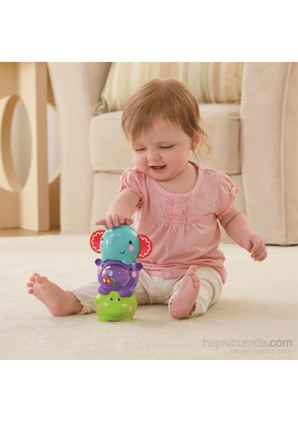 Fisher Price Minik Tombikler fiyatları