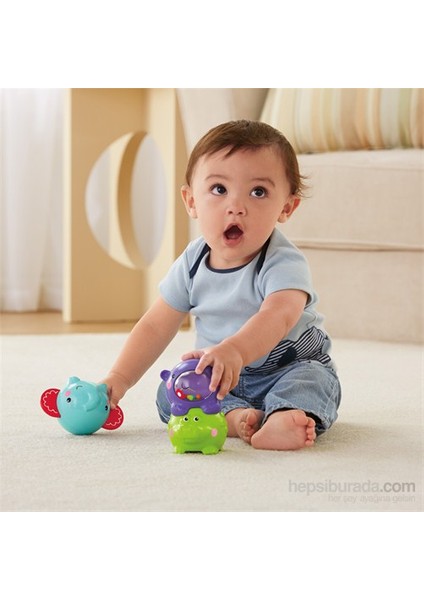 Fisher Price Minik Tombikler fırsatları