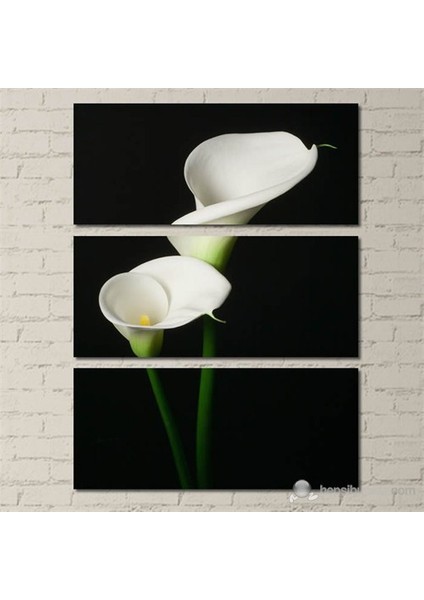 - Modern Two Flower - 3 Parçalı Kanvas Tablo 70X96cm