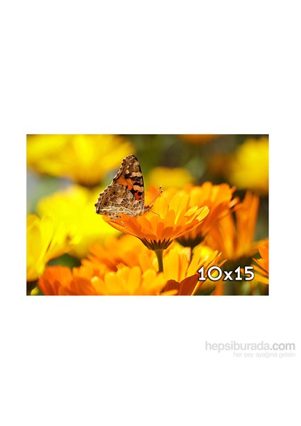 10X15 Cm Mat Fotoğraf Baskısı
