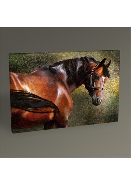 Kahverengi At Tablo 30 x 20