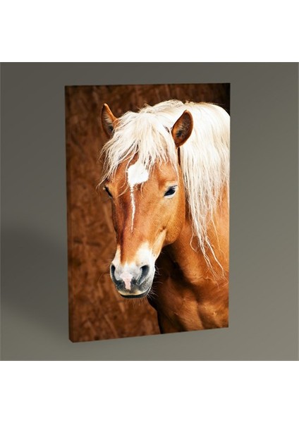 Kahverengi At Tablo 30 x 20