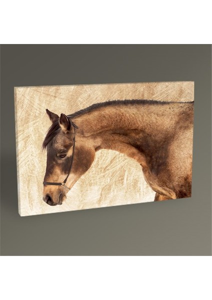 Kahverengi At Tablo 45X30