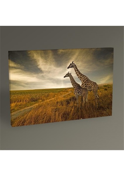 Giraffes Tablo 90X60