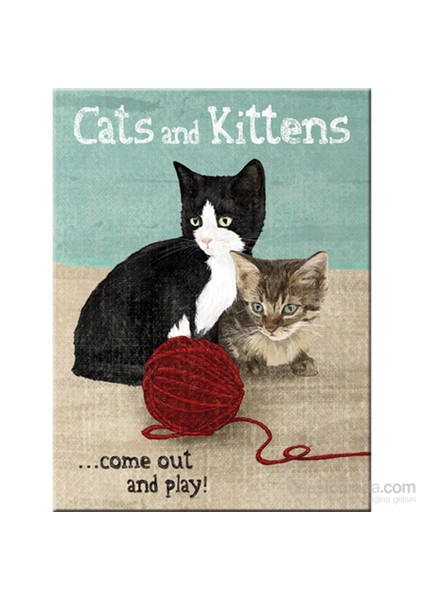 Cats And Kittens Magnet