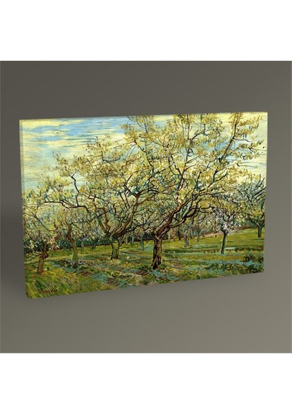 Vincent Van Gogh Beyaz Meyve Bahçesi Tablo 30 x 20