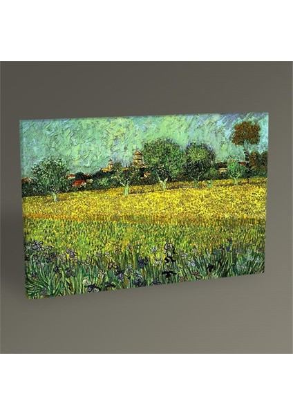Vincent Van Gogh Arles Manzarası Tablo 45X30