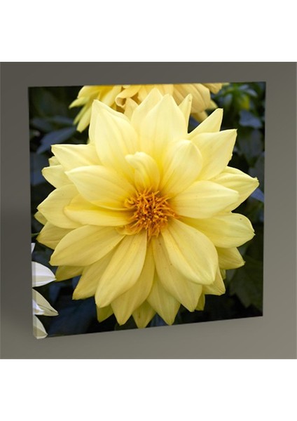 Yellow Flower Tablo 80X80