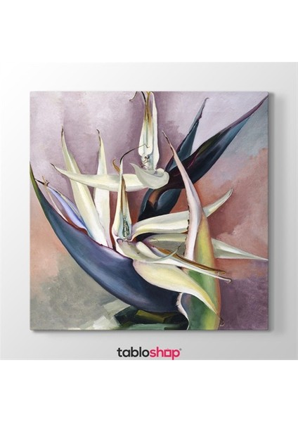 Georgia Okeeffe - White Bird Of Paradise Tablosu