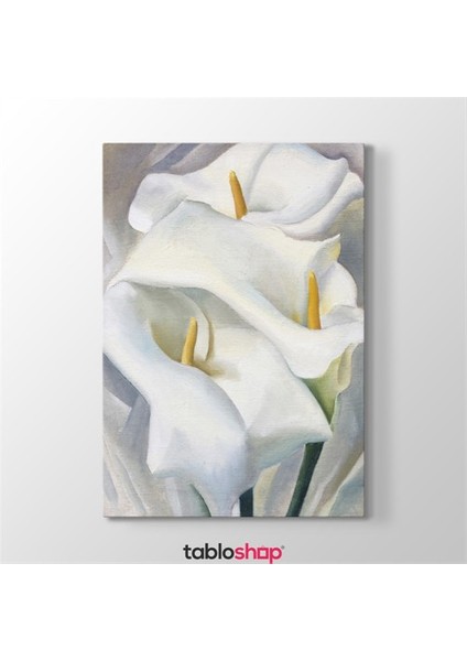 Georgia Okeeffe - Flower Tablosu