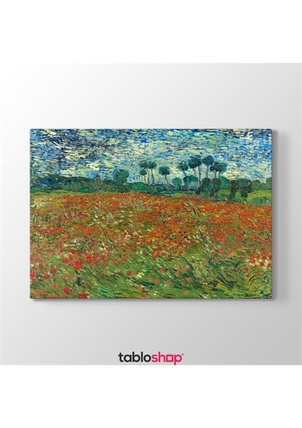 Van Gogh - Poppy Field Tablosu