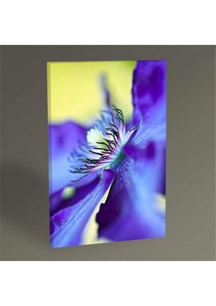 Clematis Tablo 45X30