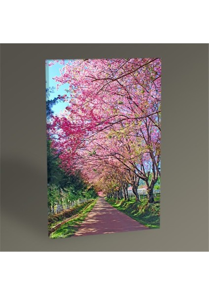 Pink Flowers Tablo 75X50